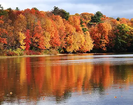 Kripalu Grounds